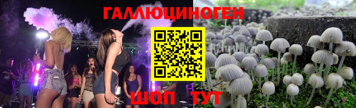 Галлюциногенные грибы мицелий Владикавказ